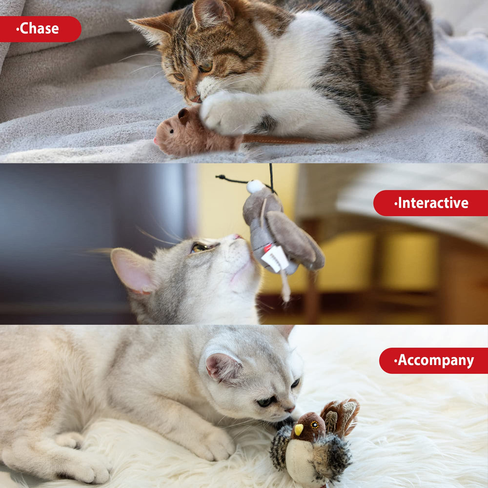Conjunto de juguetes Gigwi para gatos en interior, entretenimiento garantizado.