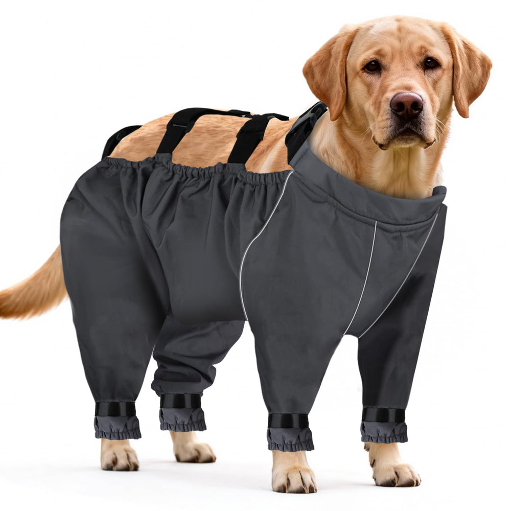 Giiyoe pantalones de nieve para perros, cobertura total para climas fríos.