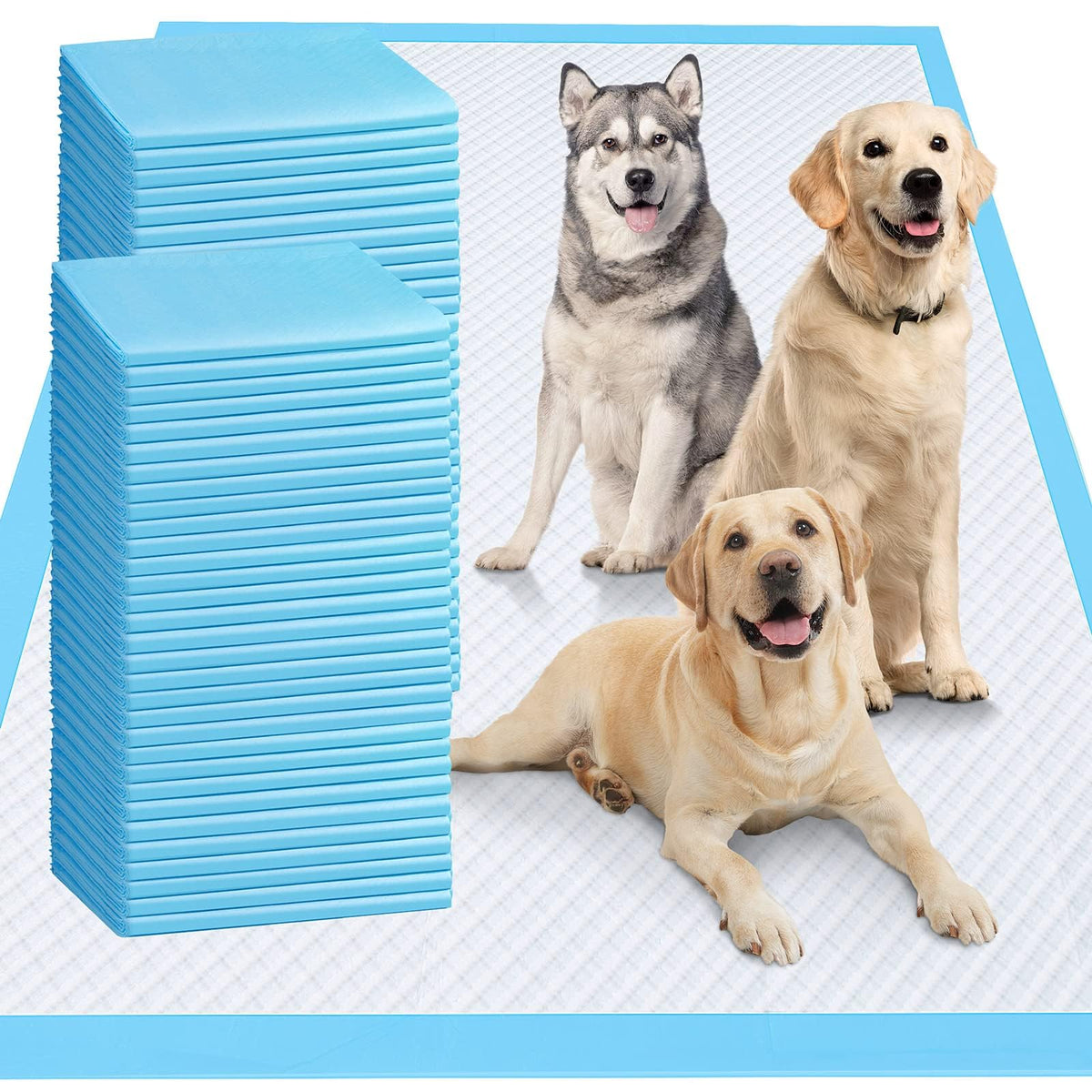 Gimars almohadillas entrenamiento 36x36, tamaño extra grande para perros y otras mascotas, ideal para entrenamiento.