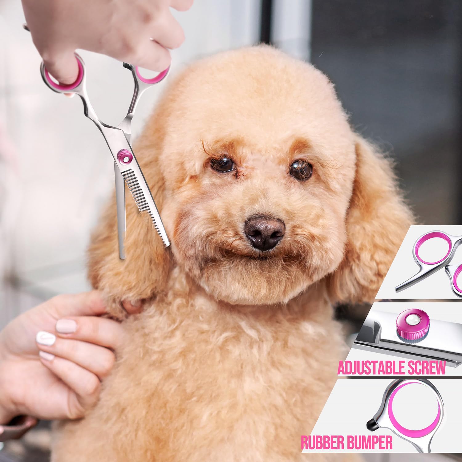Gimars estuche para tijeras de grooming canino