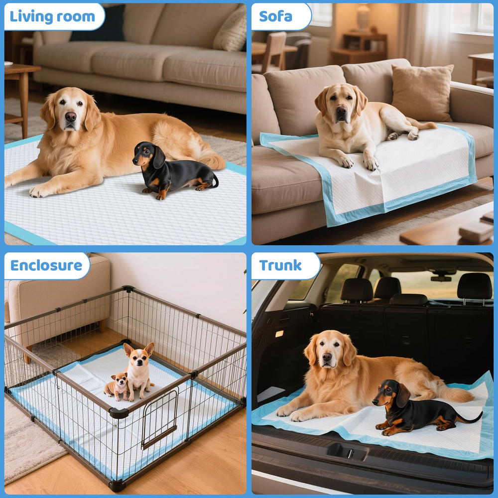 Tapetes Gimars para hogares multiperros, opción práctica para varias mascotas.