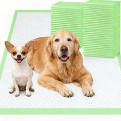 Gimars XXL pad 30x36 con absorbencia rápida para suelos secos.
