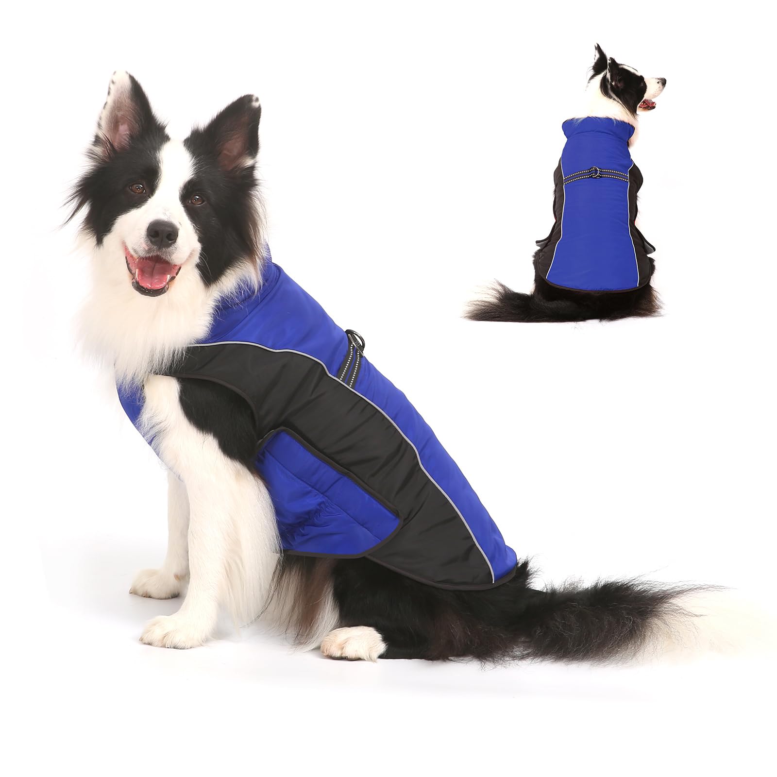 Chaleco térmico Gimilife para perro, ofrece calor cómodo durante paseos fríos.