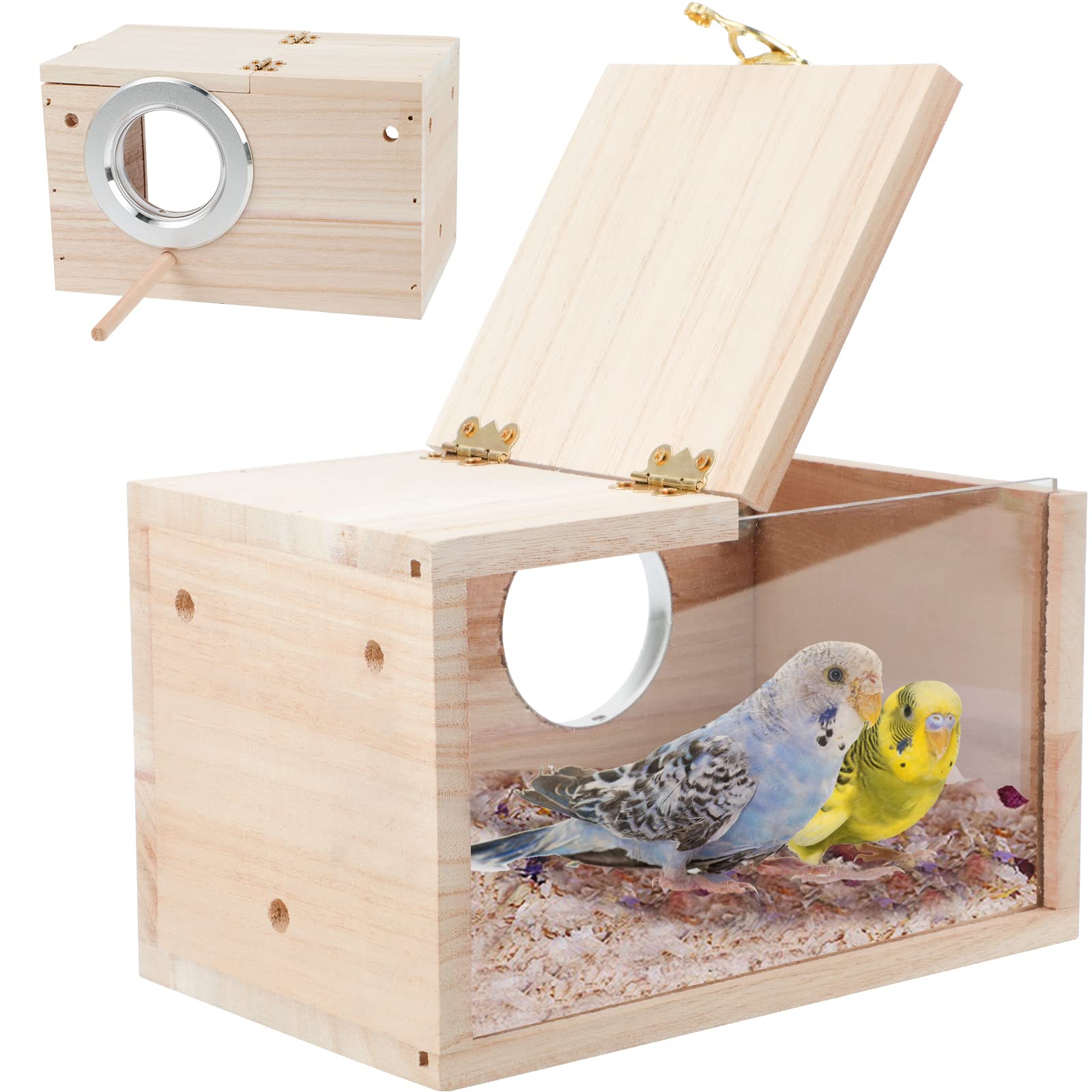 Caja nido para periquito GINDOOR, transparente, facilita la observación de incubación sin perturbar.
