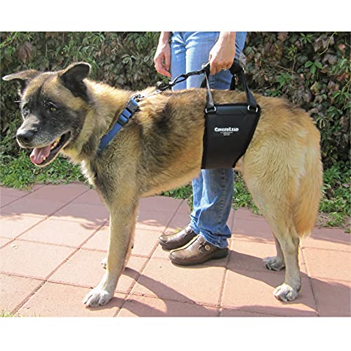 GingerLead ofrece ajuste de altura para perros altos y delgados.