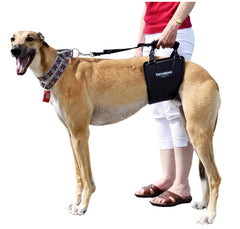 GingerLead arnés elevador de cadera para perros altos para subir escaleras con comodidad.