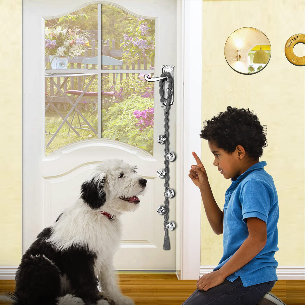 Ginidear uso diario en casa para entrenar al perro de forma suave.