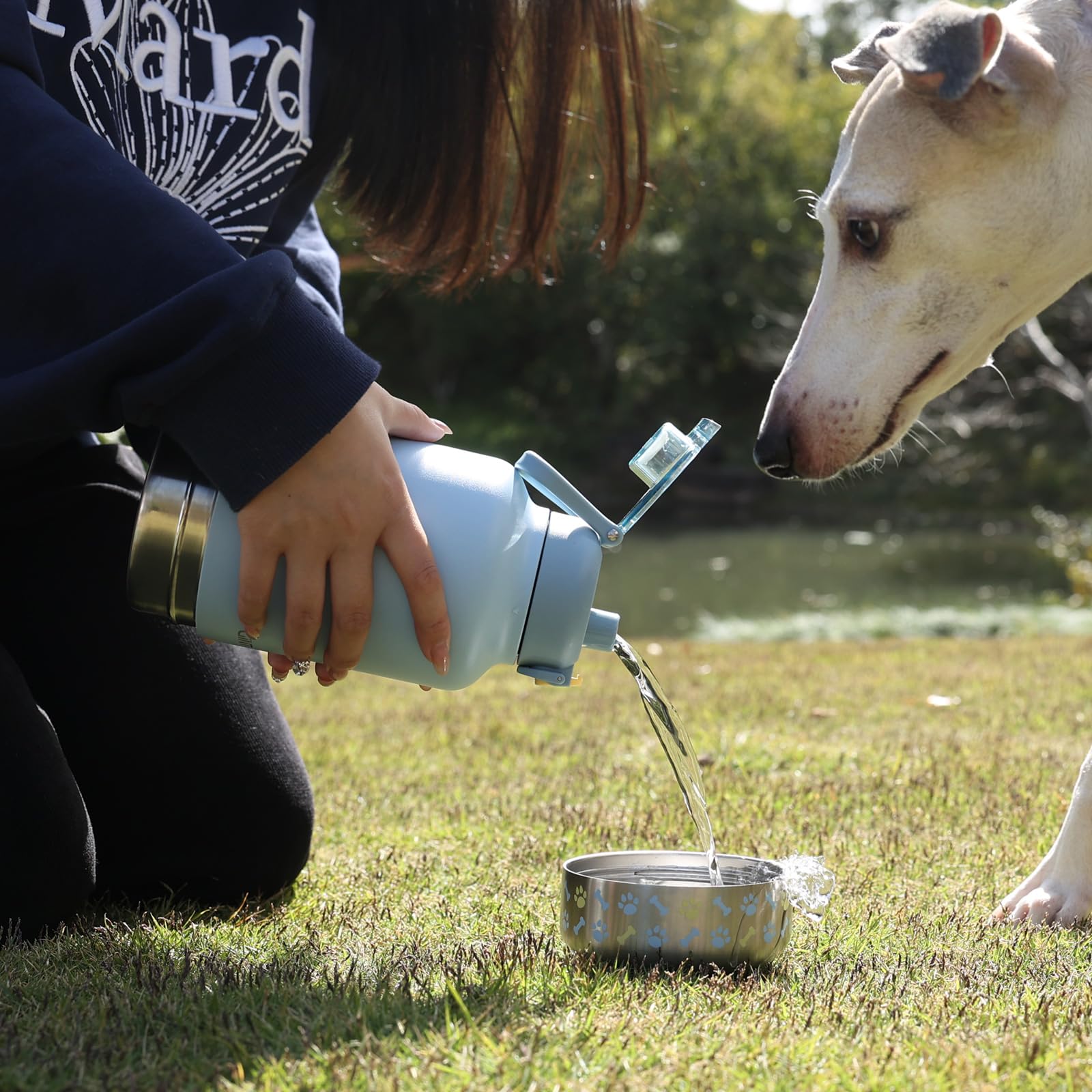 Regalo ideal para amantes de perros que disfrutan paseos.