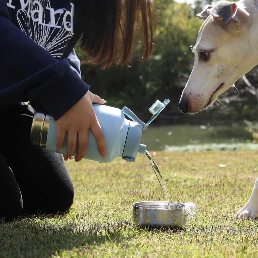 Regalo ideal para amantes de perros que disfrutan paseos.