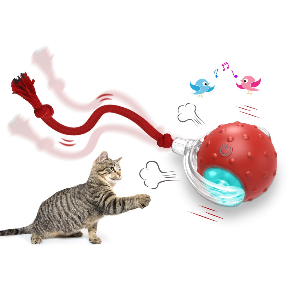 Giociv bola interactiva para gatos interiores, ideal para estimulación física.