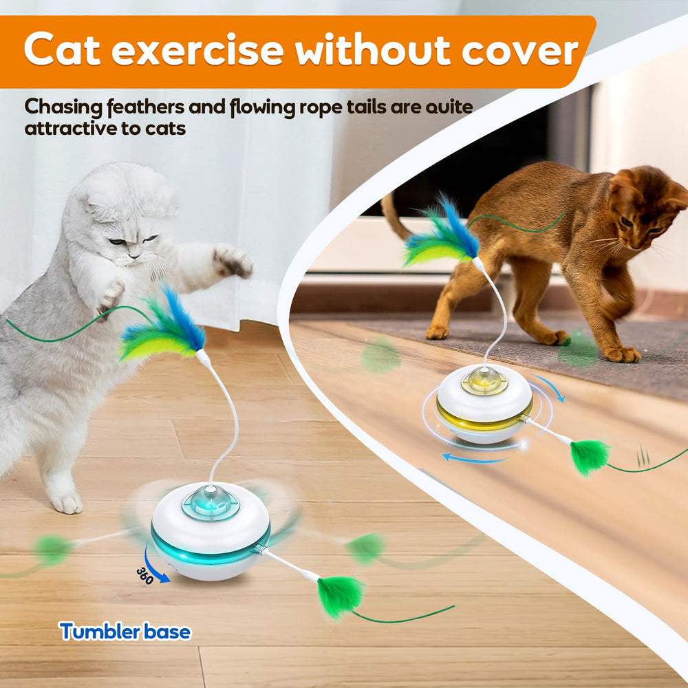 Giociv uso en interiores y exteriores; ideal para hogares con varios gatos.
