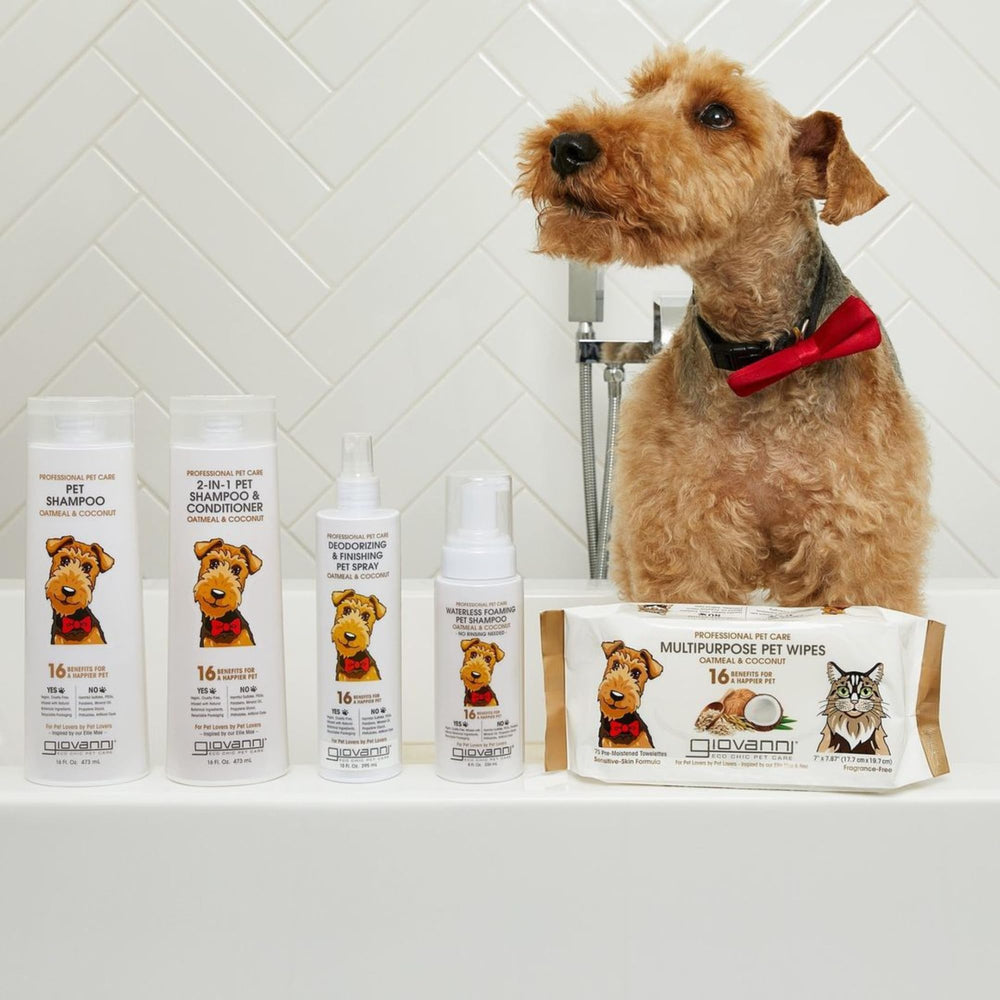 GIOVANNI champú para perros y gatos, aroma suave y agradable