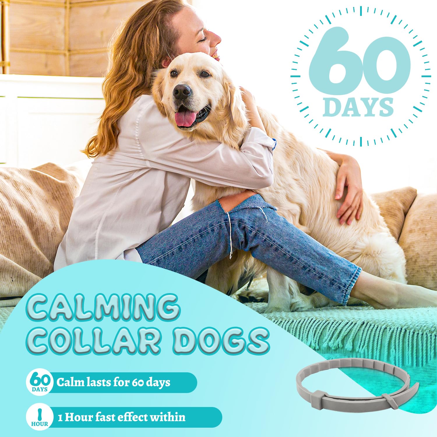 GIOVARA collar ideal para hogares con varios perros.