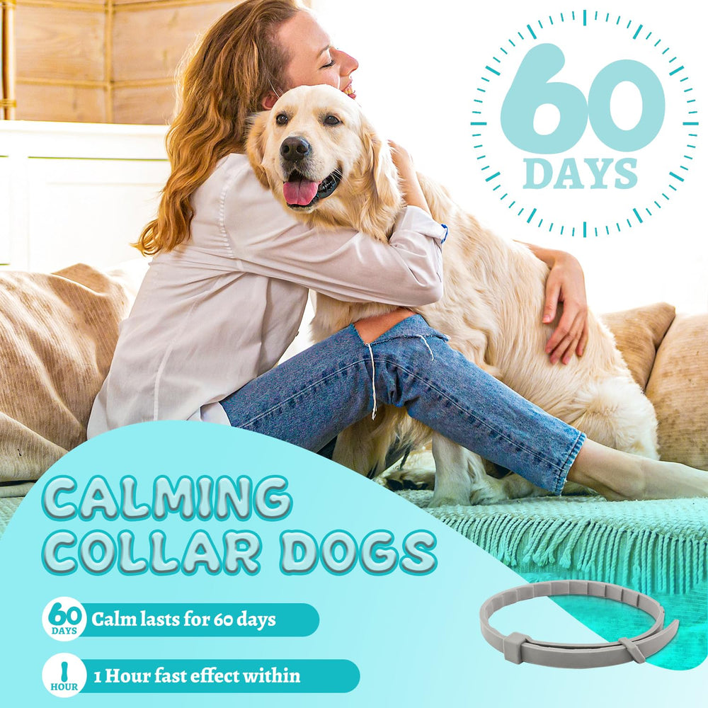 GIOVARA collar ideal para hogares con varios perros.