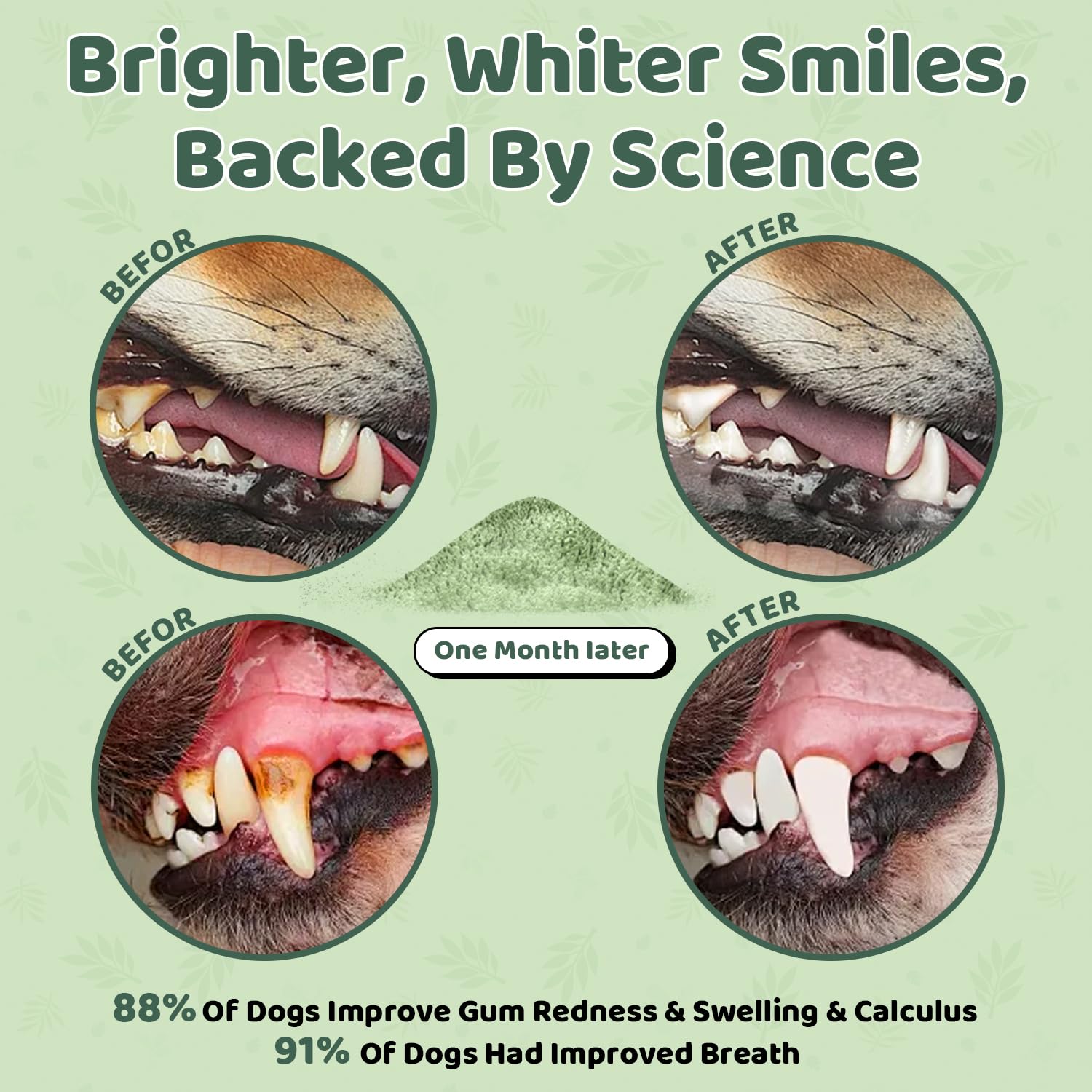 Polvo dental para perros espolvoreado sobre croquetas facilita la limpieza diaria.