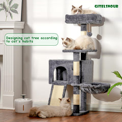 Gitelsnour arbol-gato plataforma superior para vistas elevadas y exploración segura.