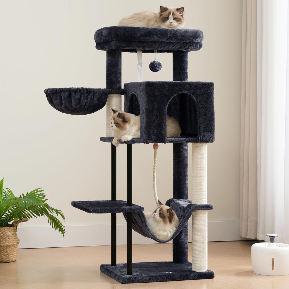 Gitelsnour Arbol Gatos, cinturón anti vuelco para mayor seguridad.