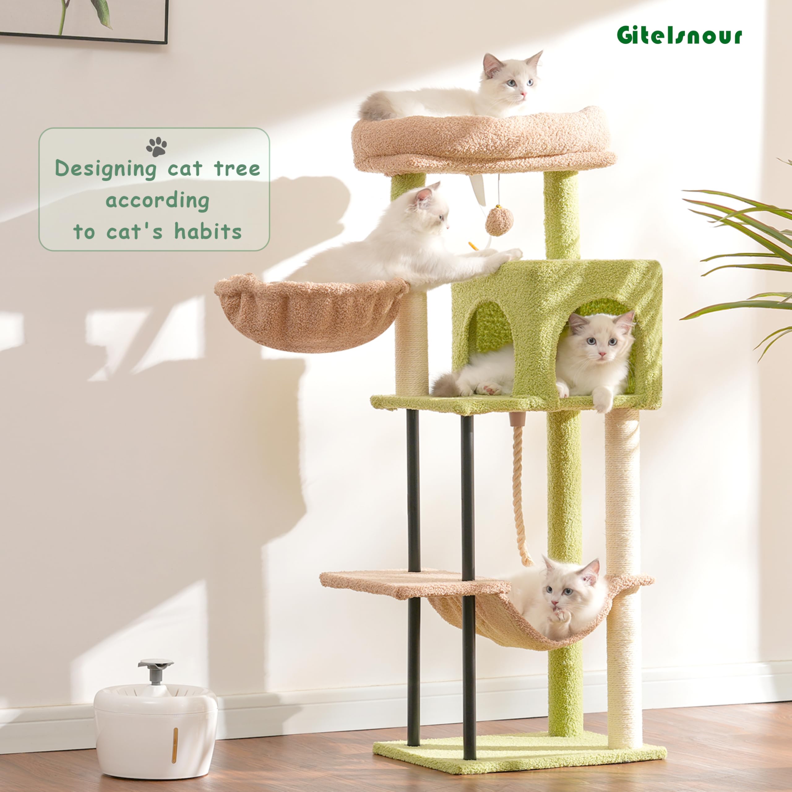 Gitelsnour arbol gatos: condo con dos puertas para entrar y salir.