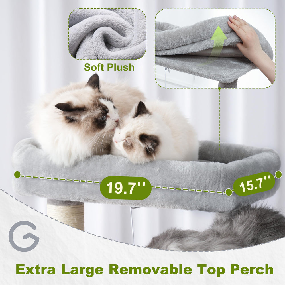 Gitelsnour árbol para gatos: condo y juguetes para juego diario.