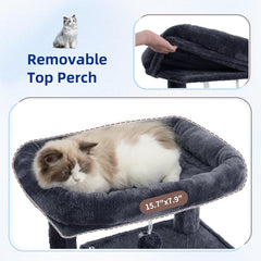 Gitelsnour Arbol Gatos, plataforma superior amplia para descansar cómodo.