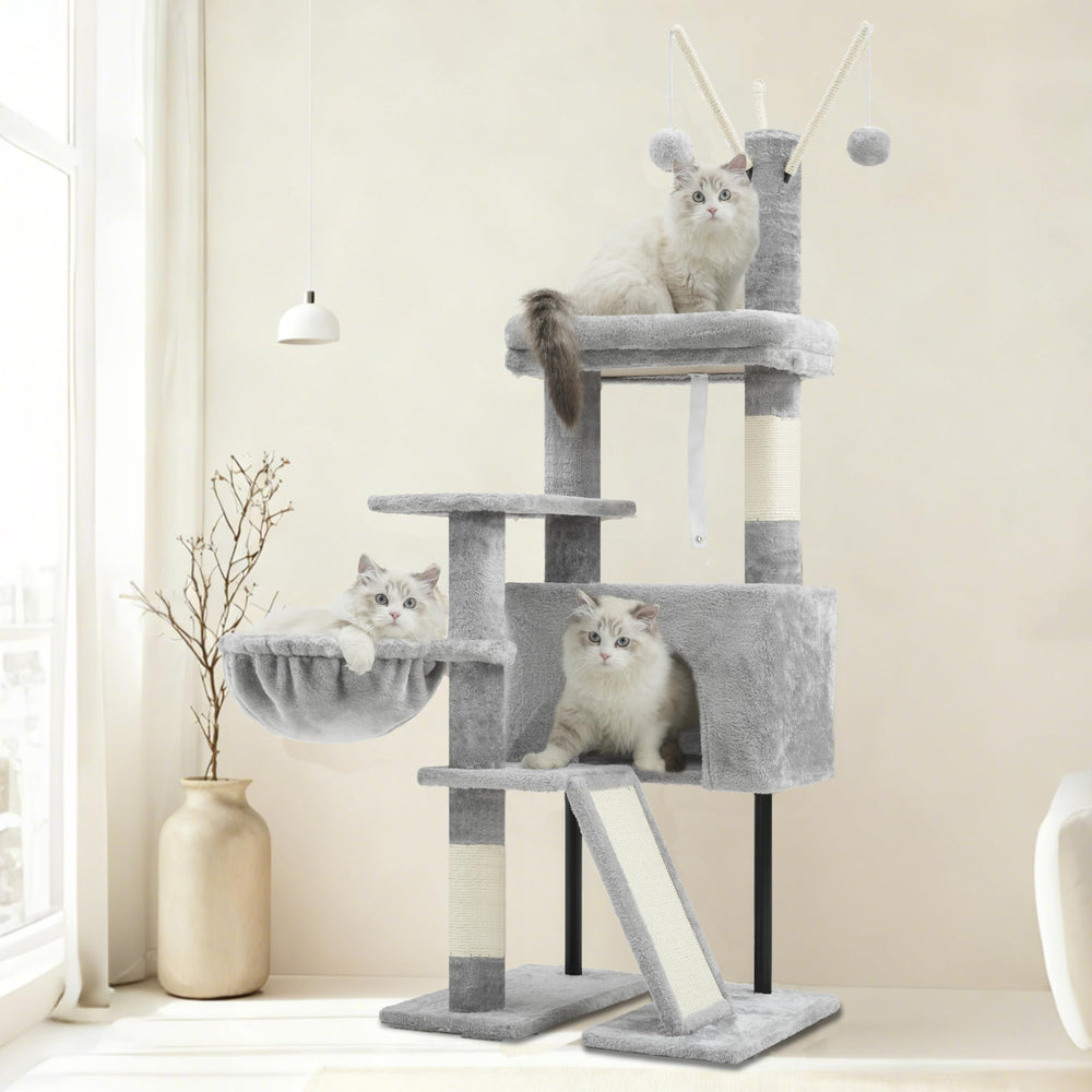 Gitelsnour diseño seguro para gatos pequeños y gatitos.