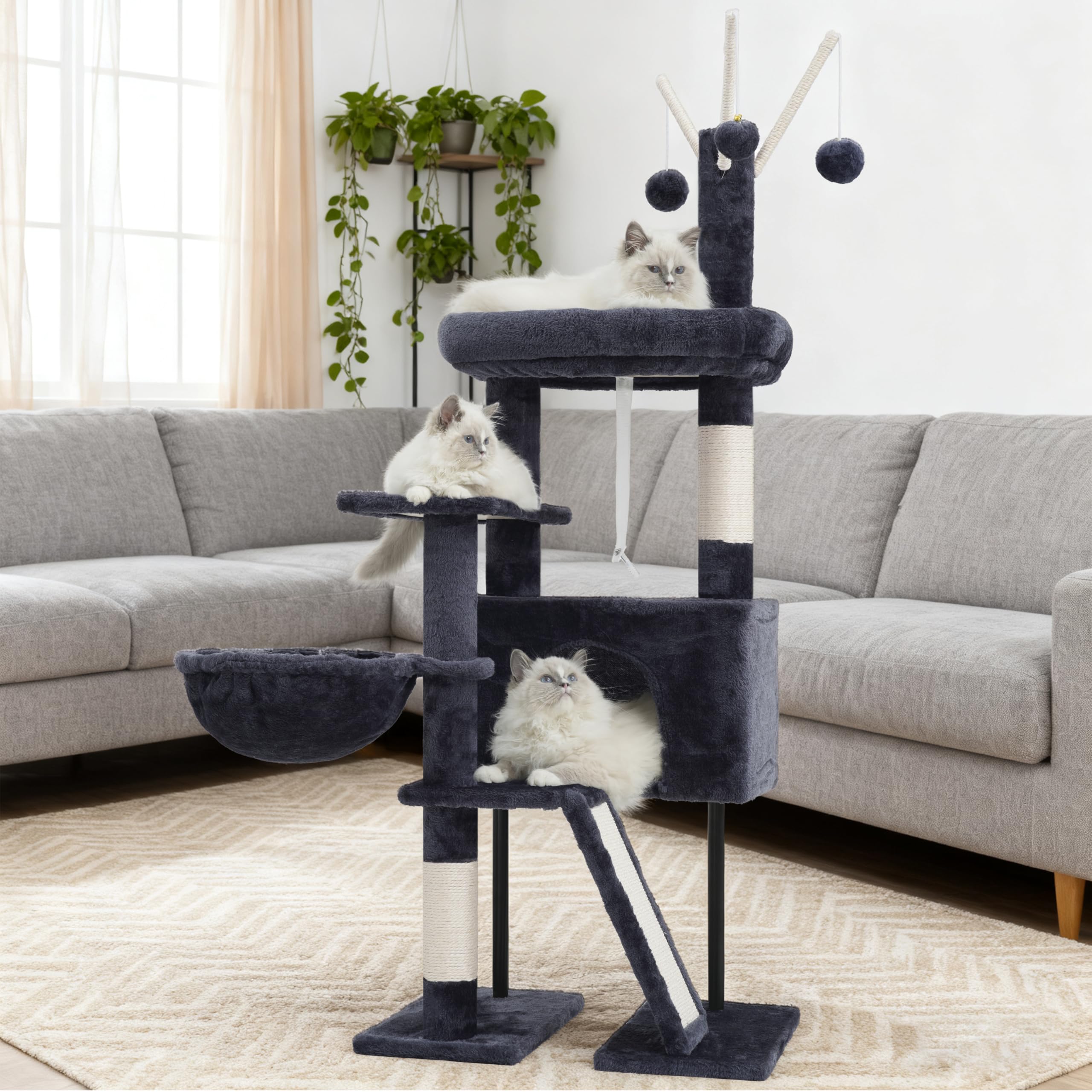 Gitelsnour para-gatos-pequenos-gatitos: diseñado para felinos jóvenes.