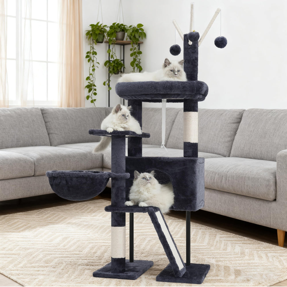 Gitelsnour para-gatos-pequenos-gatitos: diseñado para felinos jóvenes.