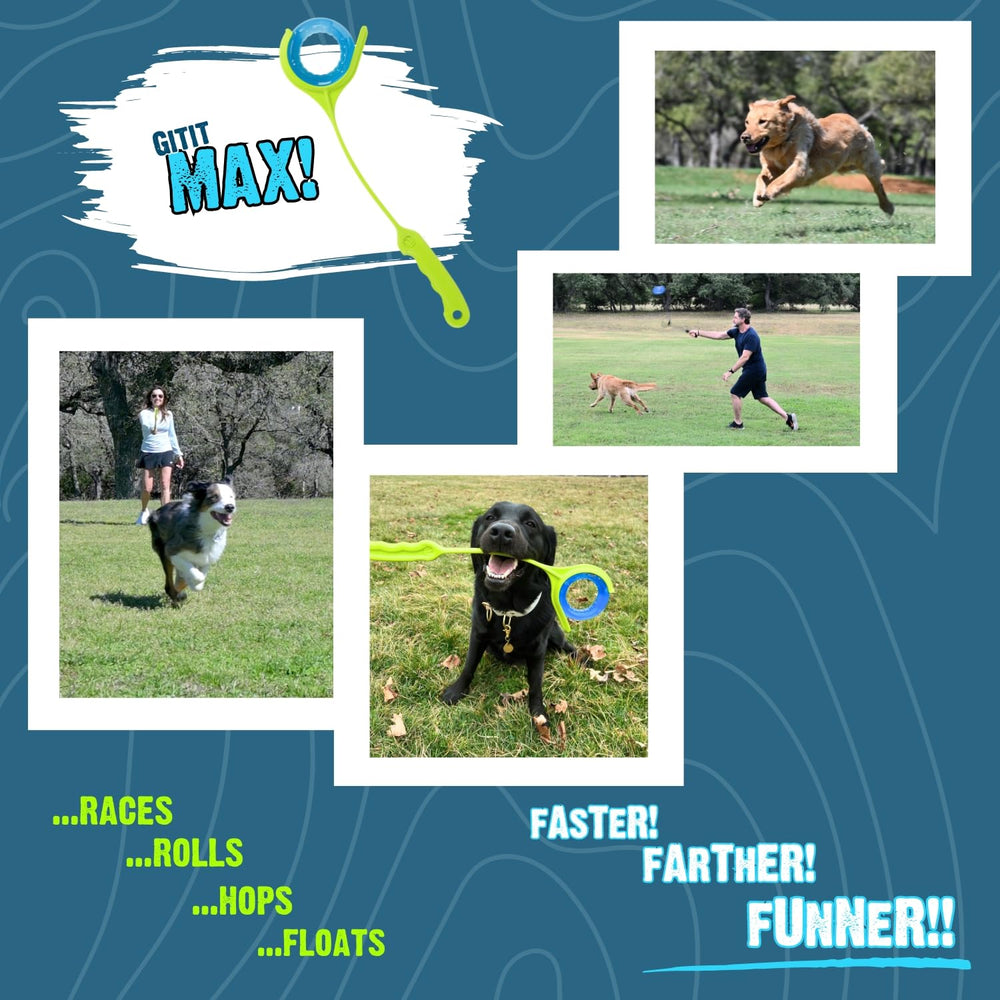 Gitit MAX! ofrece diversión para perros activos con juego interactivo al aire libre.