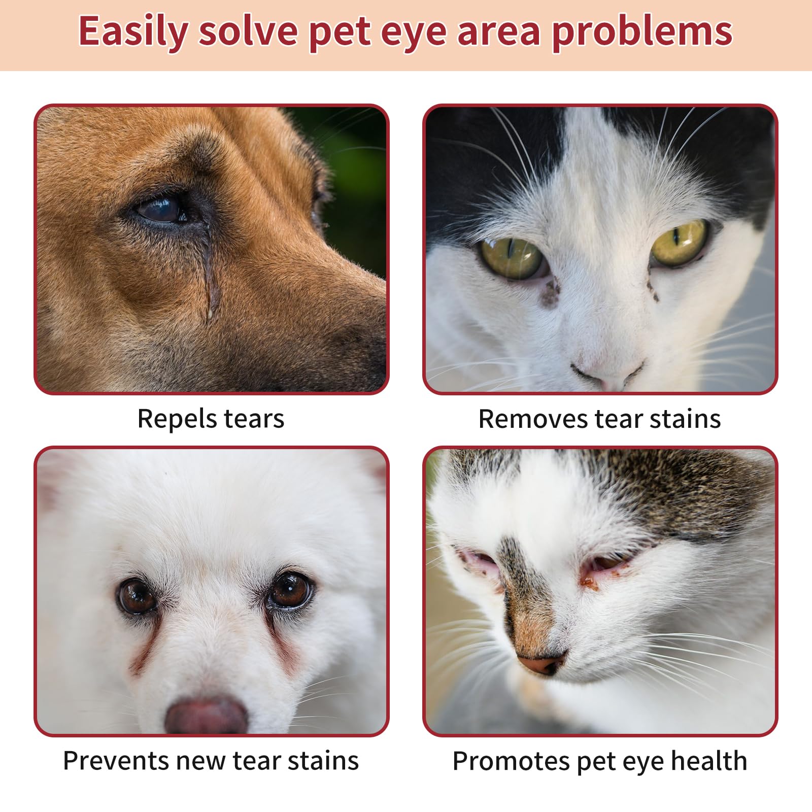GJYC PET aplicación limpia con cepillo profesional alrededor de los ojos.