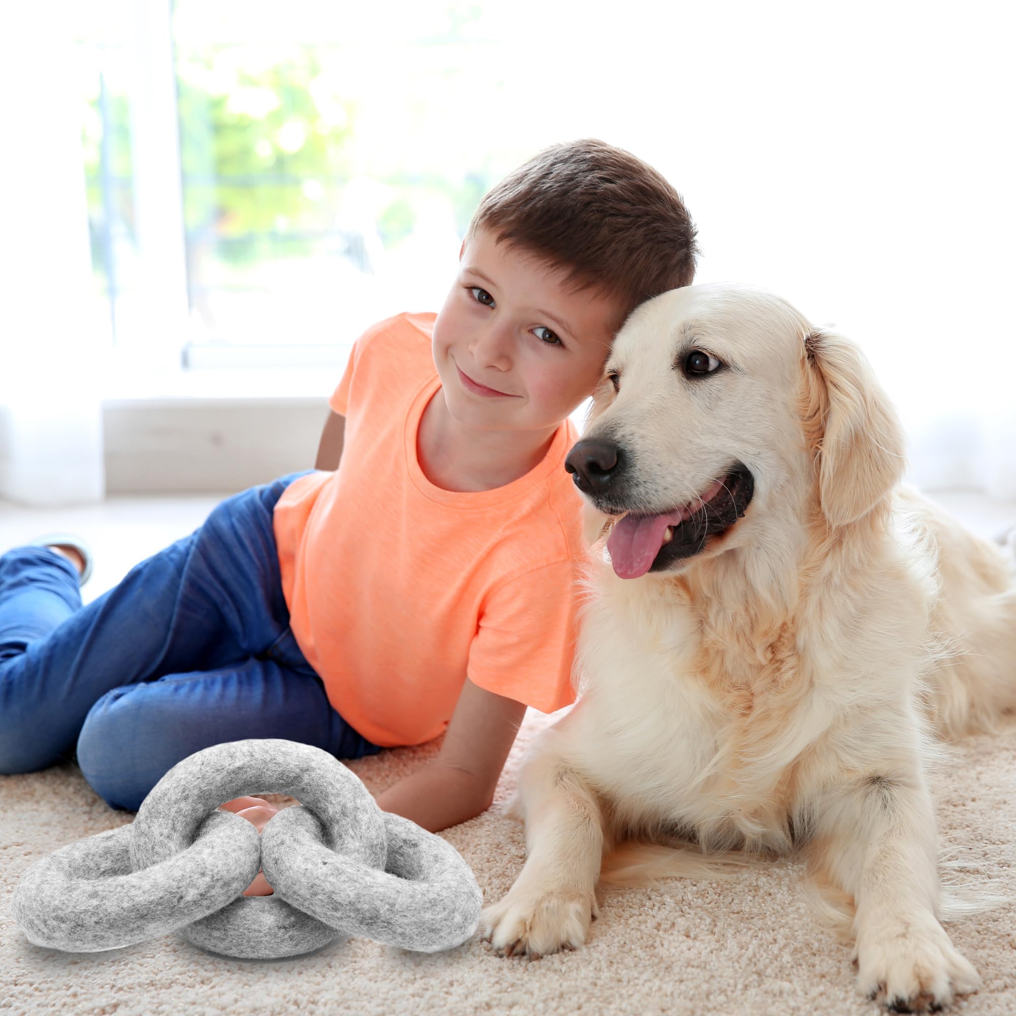Glaciart One: primer plano de lana natural, material seguro para mascotas