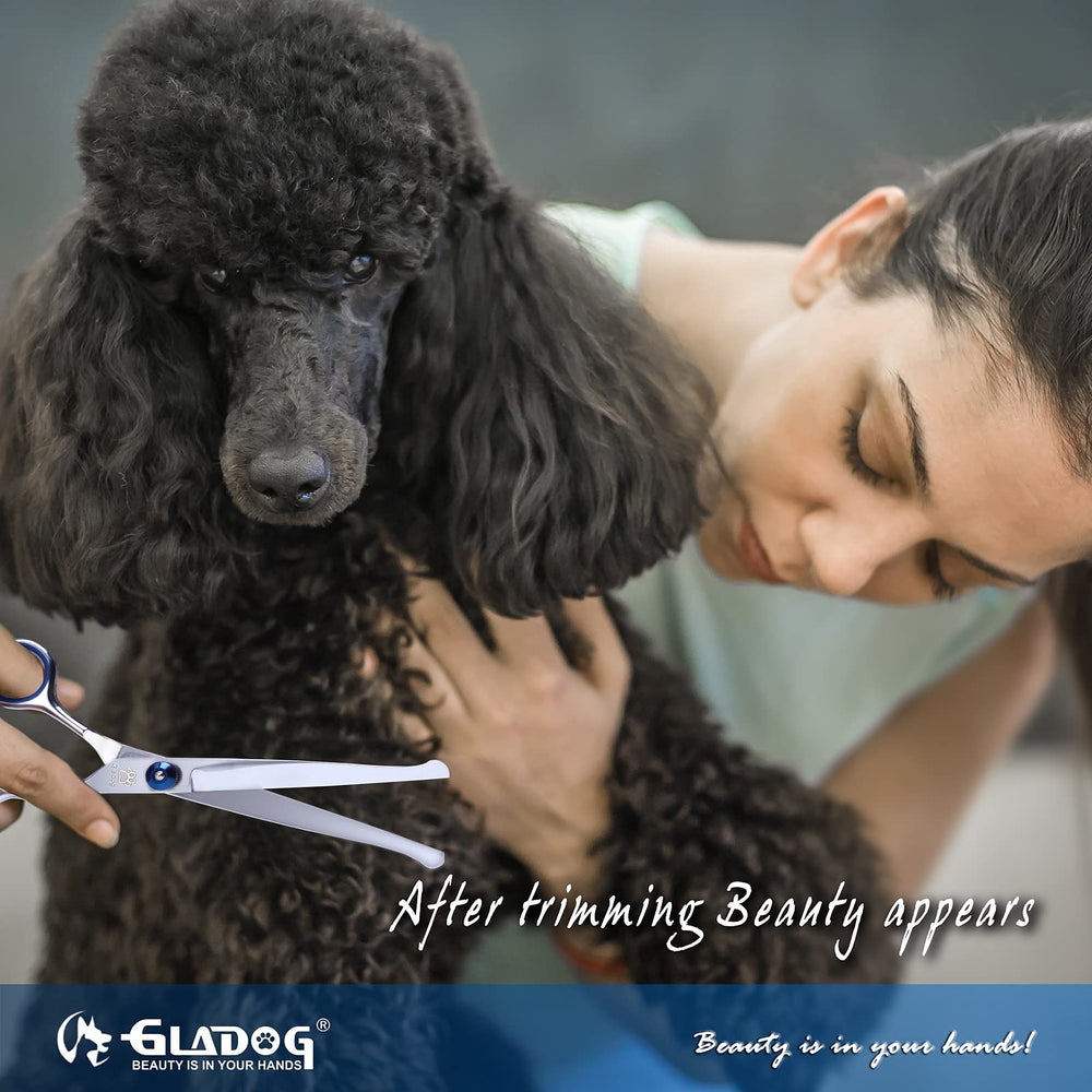 GLADOG estuche de cuero negro para transportar herramientas de grooming de forma segura.
