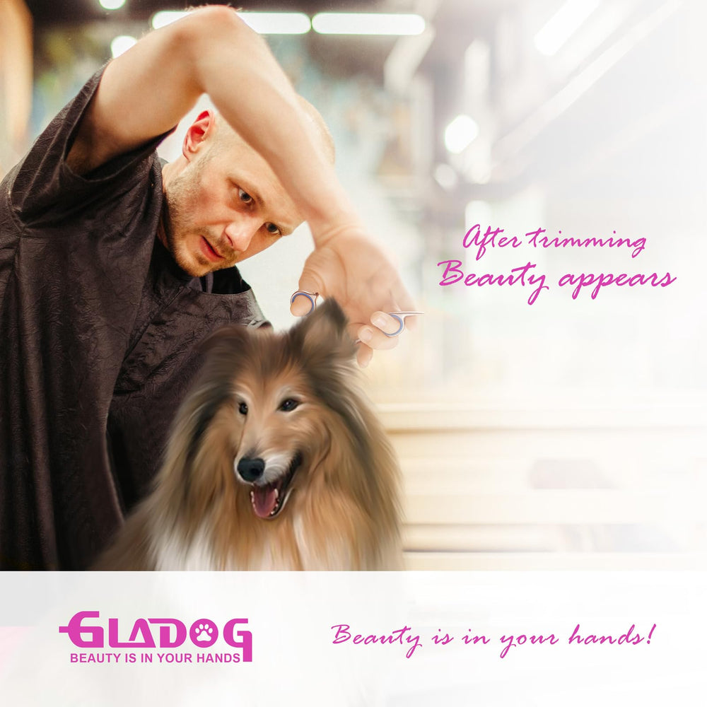 GLADOG fácil de usar, ideal para principiantes en peluquería canina.