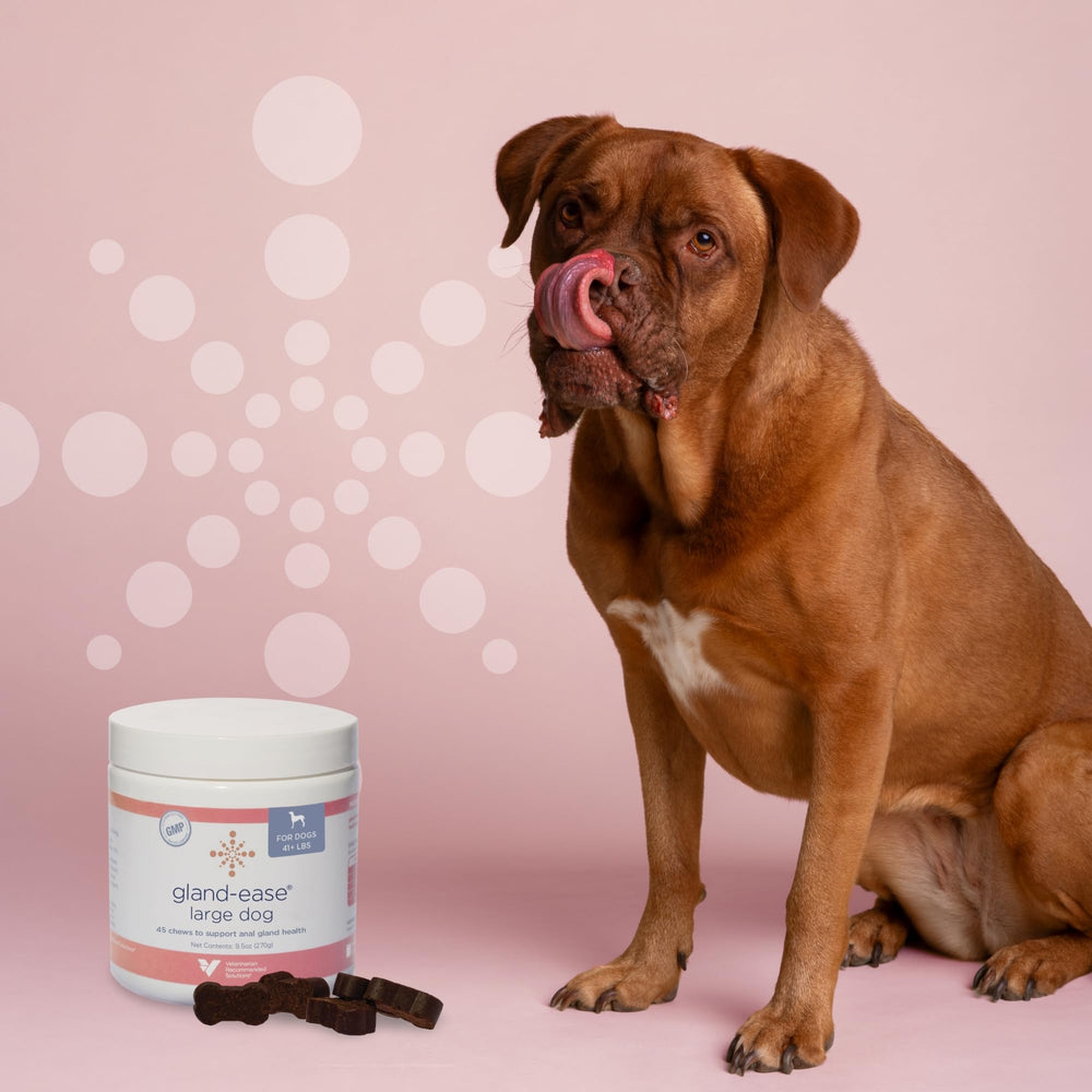 Gland-Ease, soporte para la comodidad del perro durante paseos y relajación en casa.