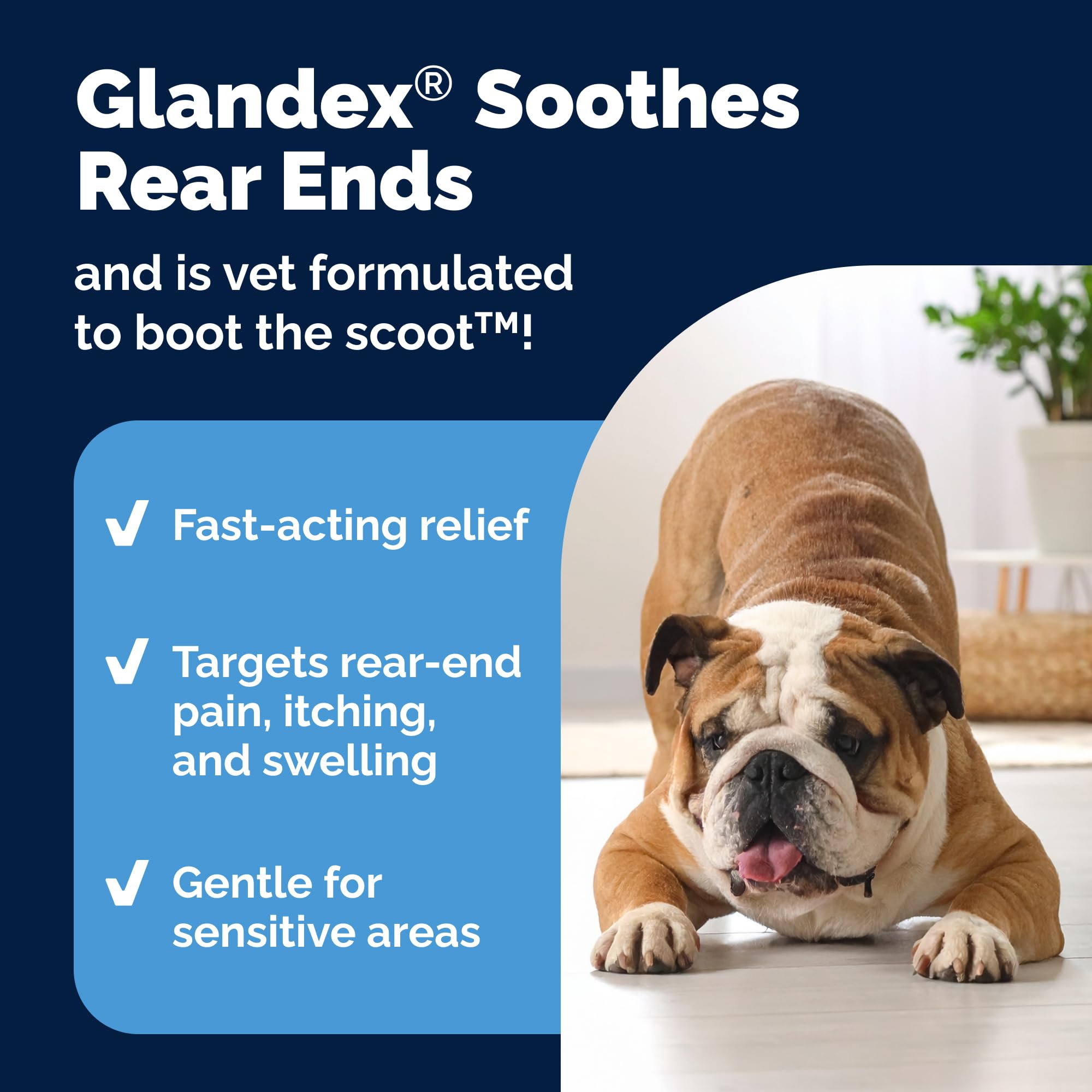 Glandex: toallitas anal perros, uso suave en zonas delicadas.