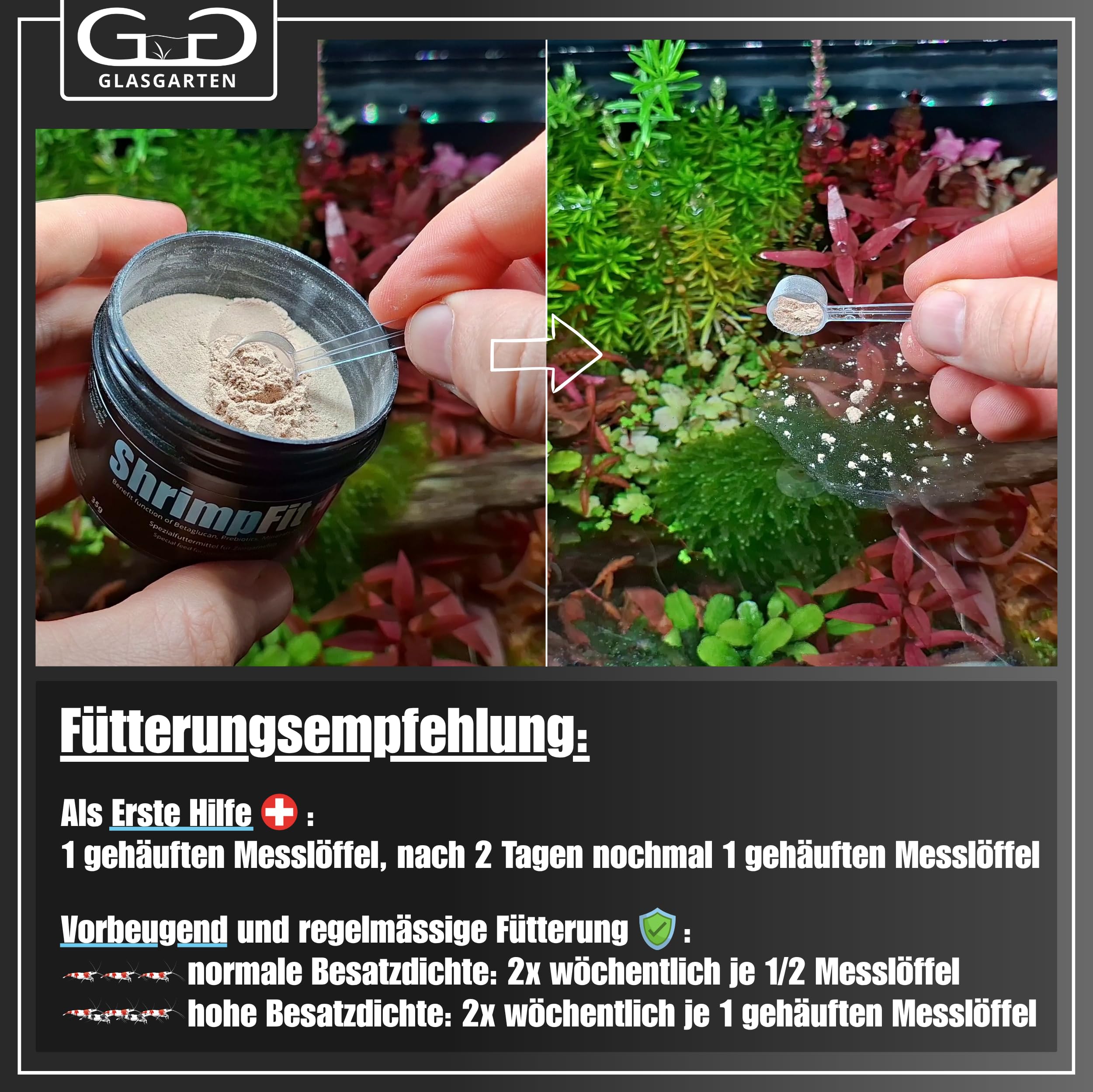 GlasGarten ShrimpFit, rutina diaria de alimentación para gambas sanas y activas.