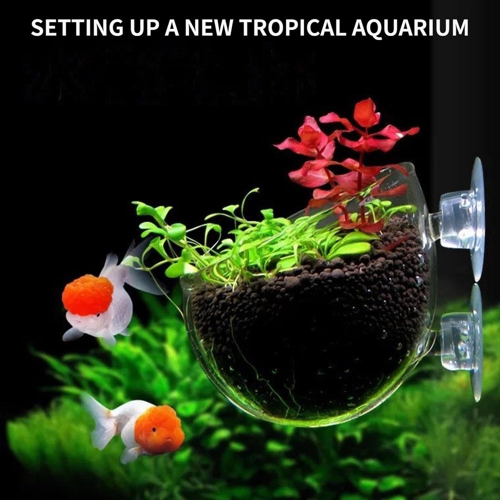 GLEFLE planta acuario cristal colgante para exhibir follaje.