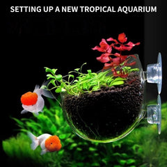 GLEFLE planta acuario cristal colgante para exhibir follaje.