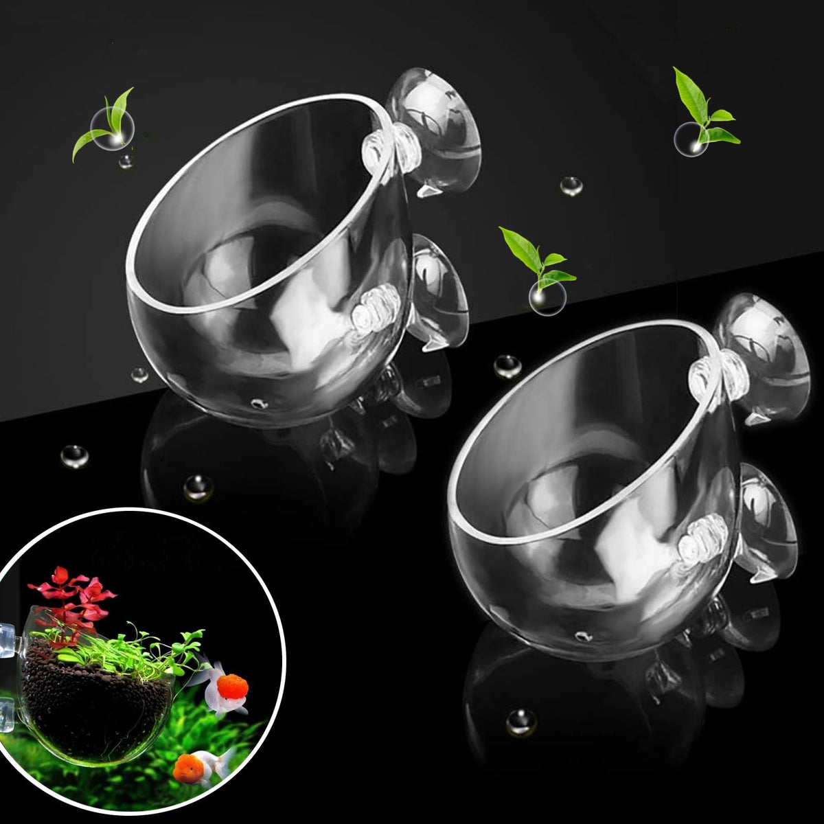GLEFLE soporte plantas acuario cristal superior, decoración vertical elegante.