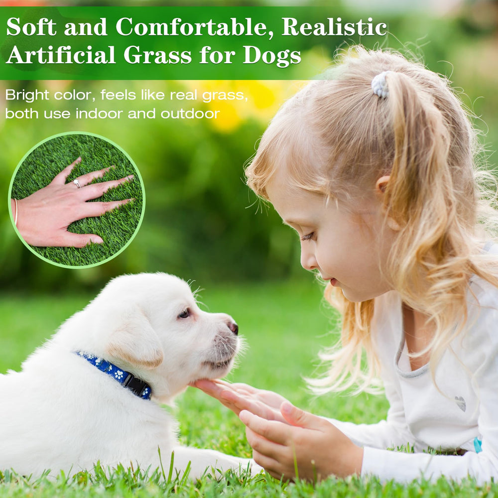 GLOBREEN, bandeja de entrenamiento para perros, perfecta para uso en interiores.