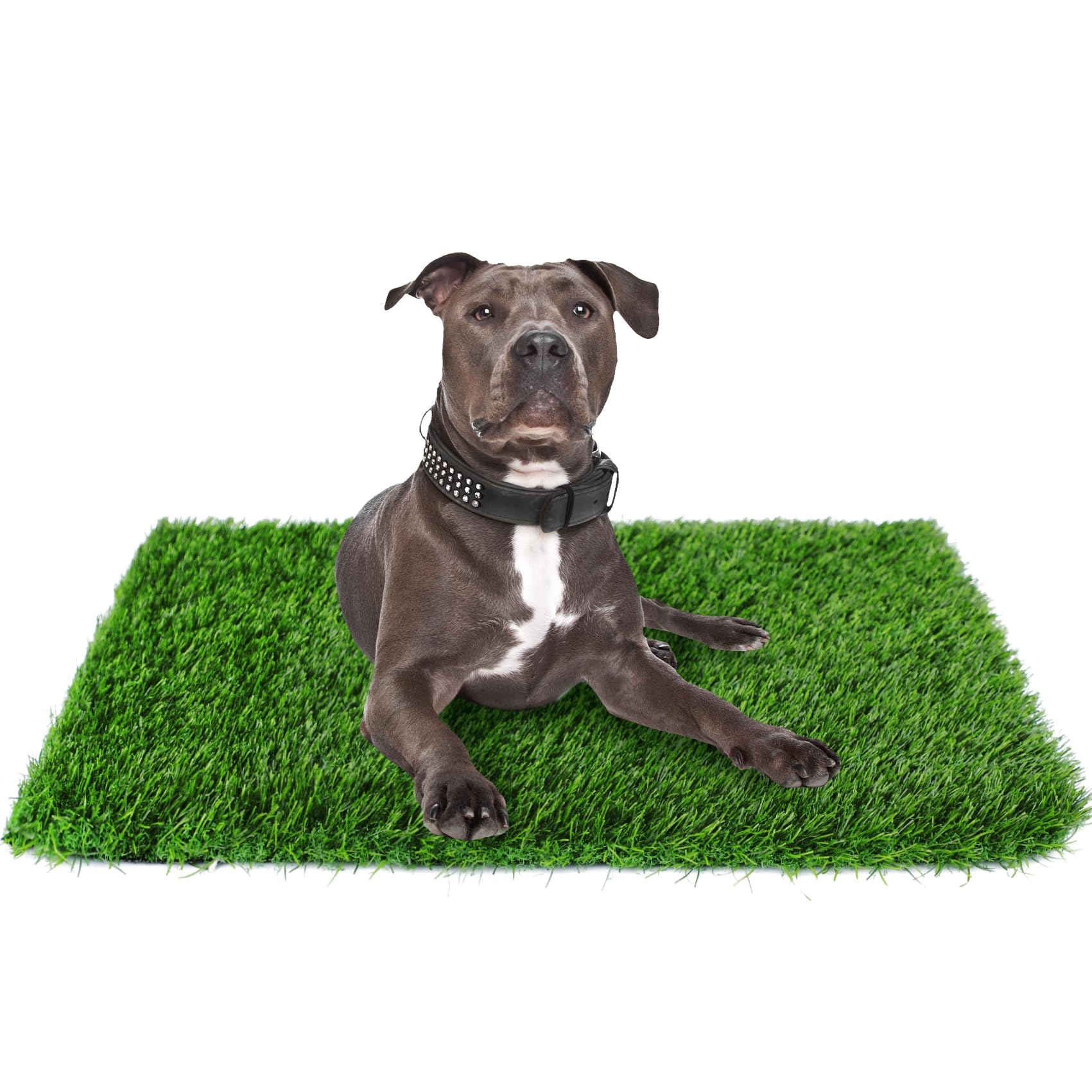 GLOBREEN, pasto artificial para perros, 39-4x31-5, ideal para entrenamiento en casa.