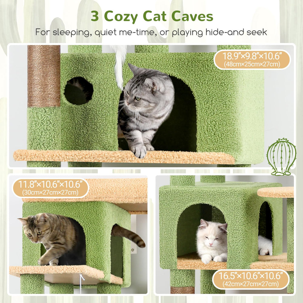 Globlazer 3 casetas para gatos brindan privacidad y descanso.