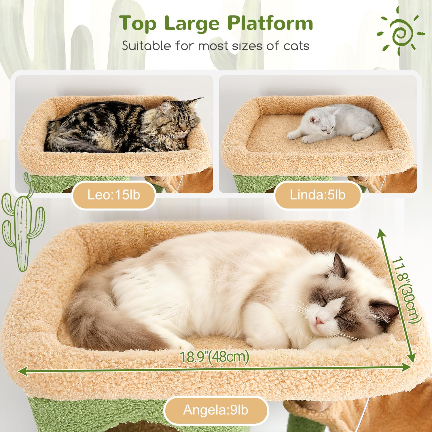 Globlazer árbol gatos en esquina ofrece espacio privado para varios felinos.