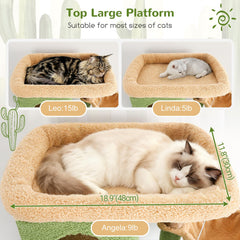 Globlazer árbol gatos en esquina ofrece espacio privado para varios felinos.