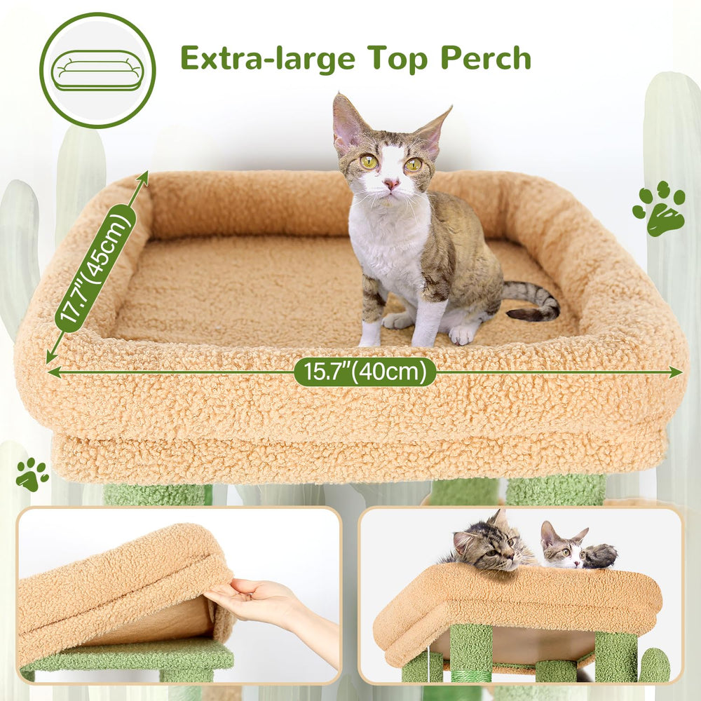 Refugios internos para gatos grandes de Globlazer, dos espacios de descanso confortables.