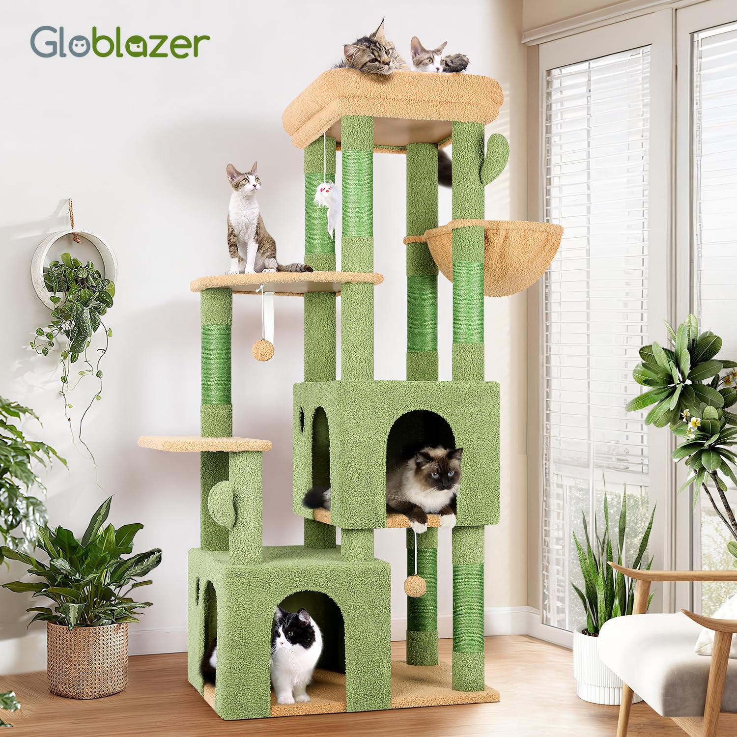 Acabado verde elegante de Globlazer para salón.