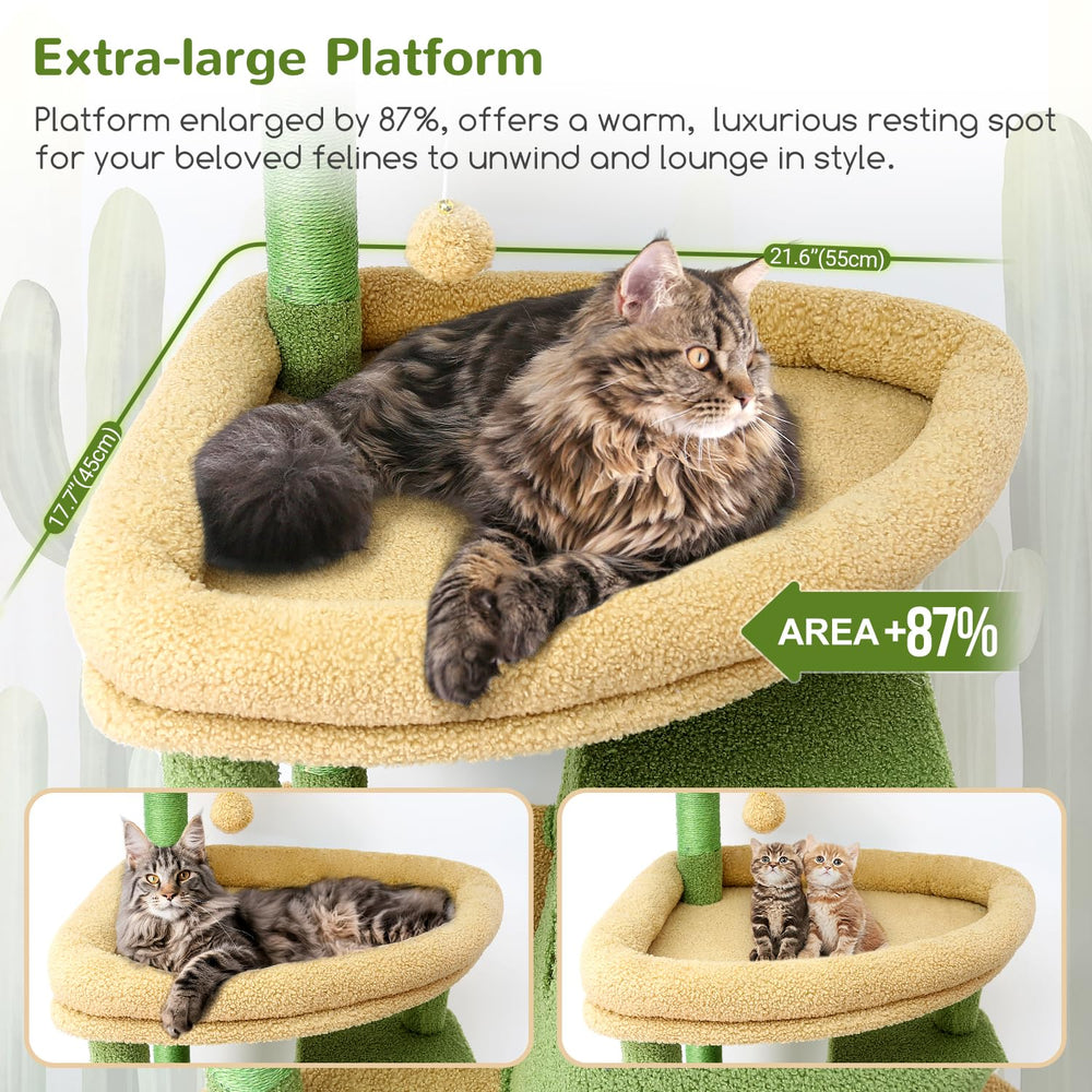 Plataforma extragrande de Globlazer para observar y estirar