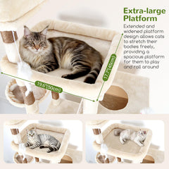 Globlazer condos-gatos-3, espacios privados para múltiples gatos en casa
