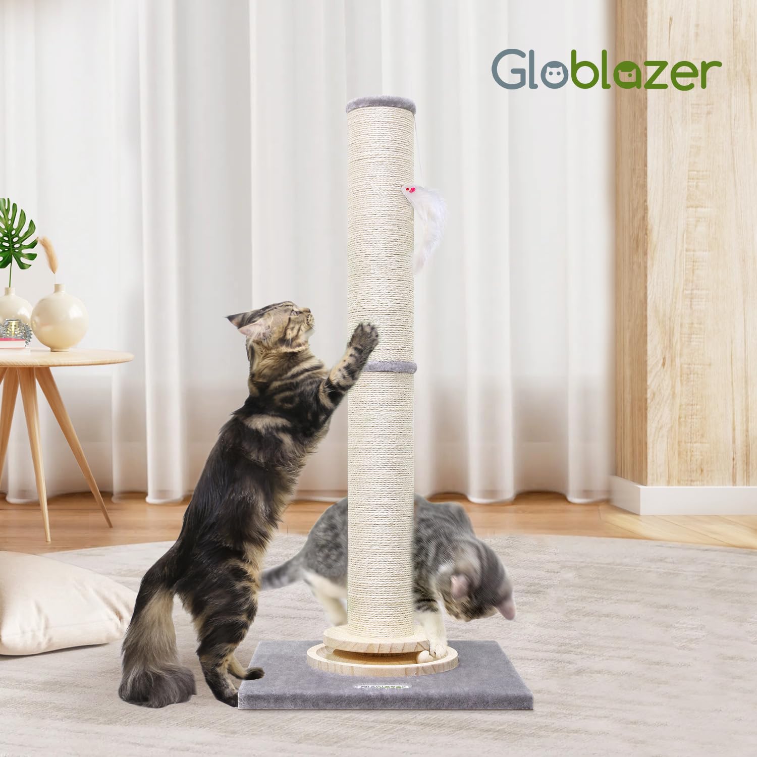 Globlazer ensamblaje fácil con herramientas incluidas