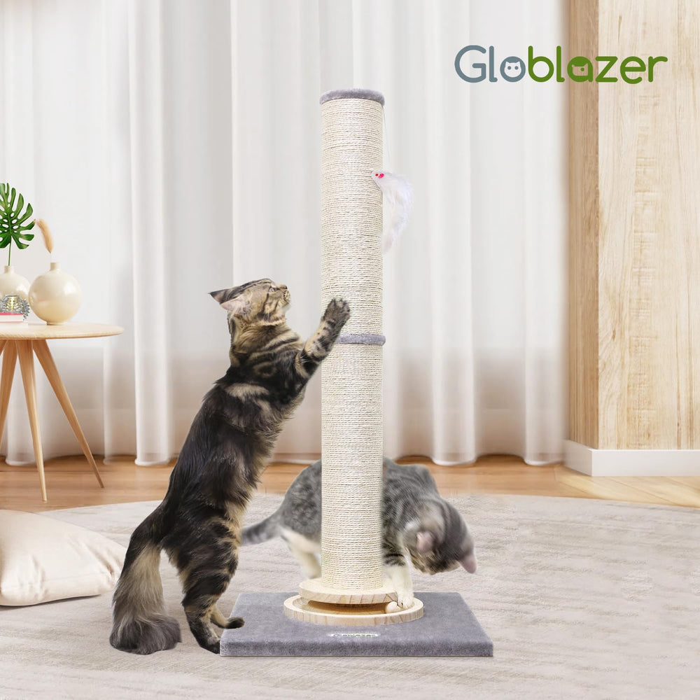 Globlazer ensamblaje fácil con herramientas incluidas