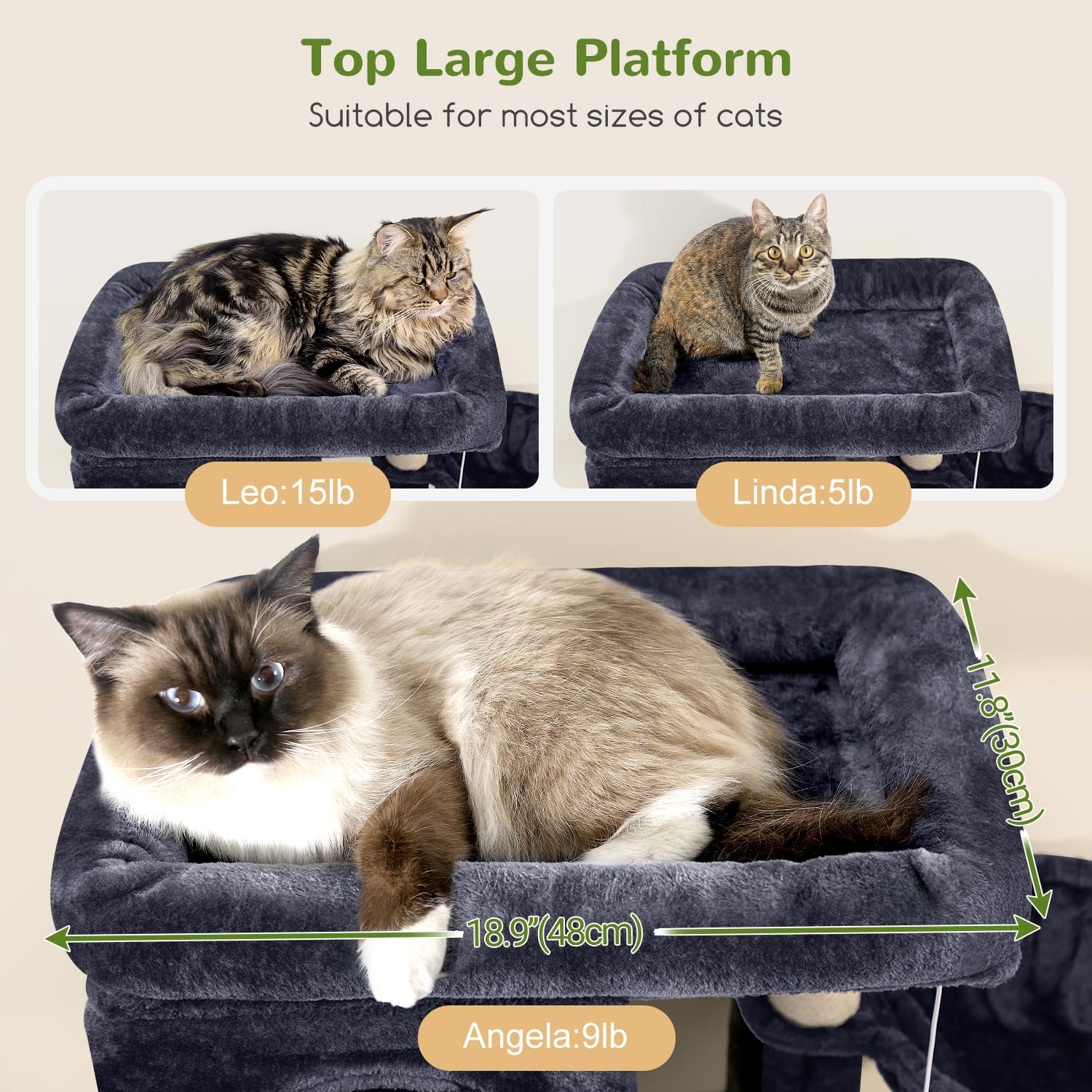 Globlazer plataforma-superior amplia, descanso para varias mascotas.